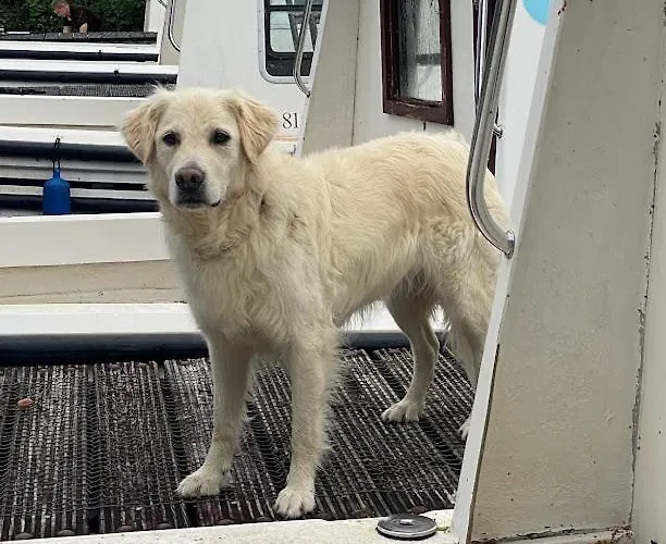 Leitrim Quay - Riverside 5 Ferienhaus